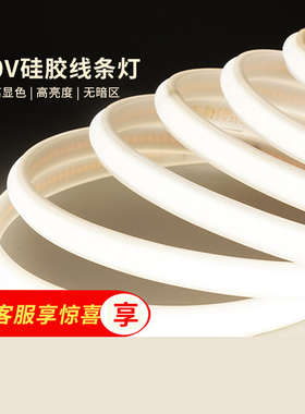 雷士照明LED柔性硅胶灯带条220V高压防水嵌入线形灯COB灯带线条灯