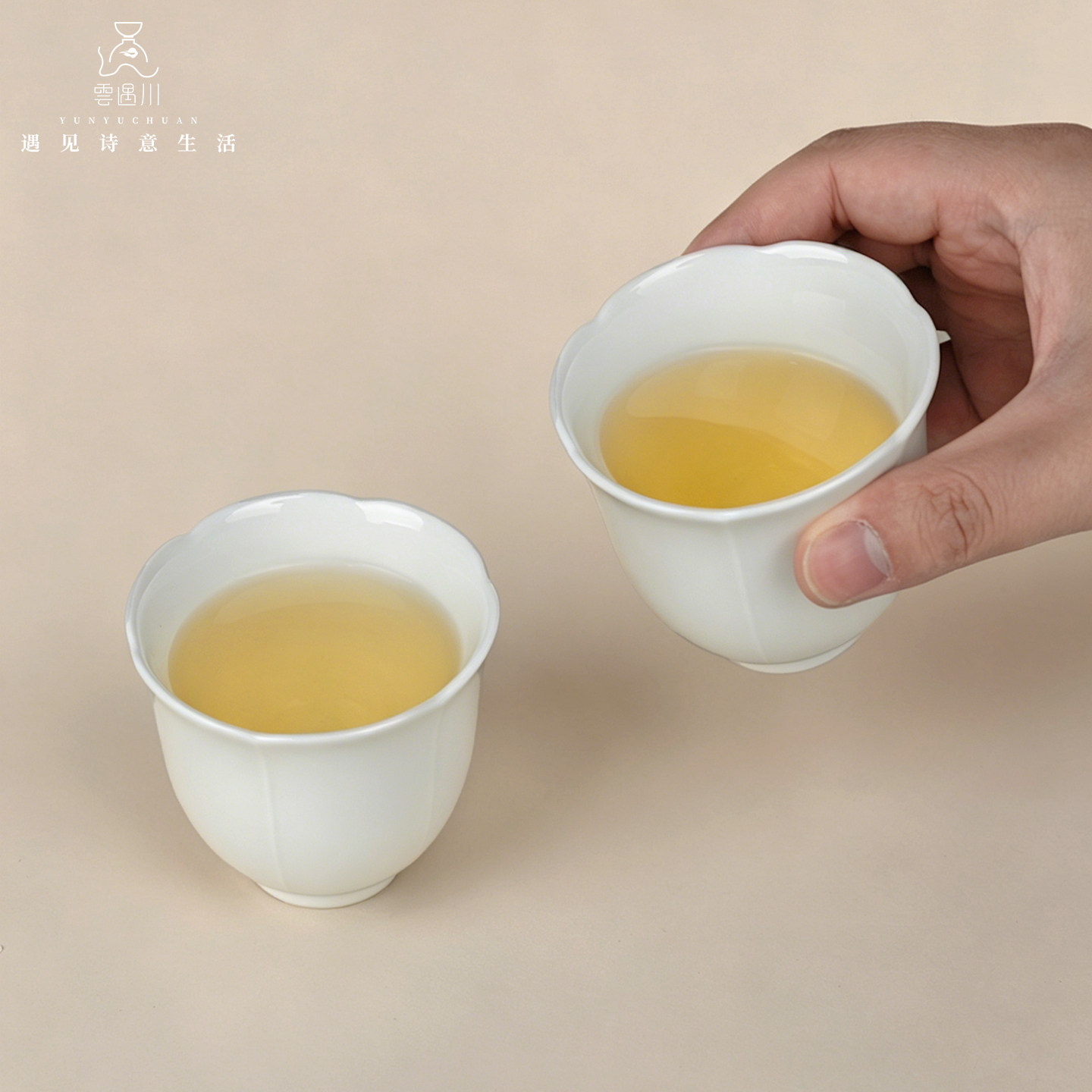 云遇川陶瓷水杯合集景德镇高温白瓷水杯茶杯小杯子咖啡杯简约家用