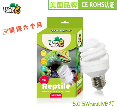Lucky5.0mini10.0爬虫宠乌龟蜥蜴晒背UVB灯饲养箱全光谱
