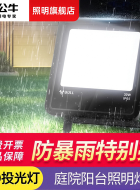 公牛家用户外农村院子照明庭院路灯投射探照30瓦50w防水led投光灯