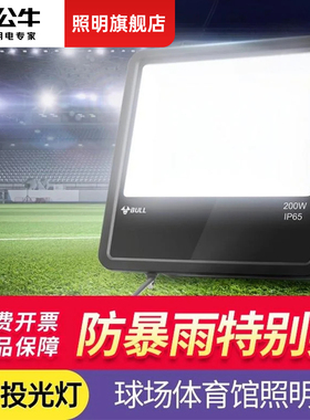 公牛篮球场照明射灯室外防水100瓦户外广场200w体育室内led投光灯