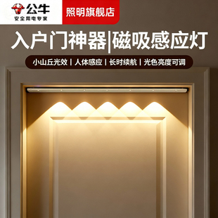 公牛入户门感应灯玄关人体自动感应灯高级磁吸充电楼道走廊免布线
