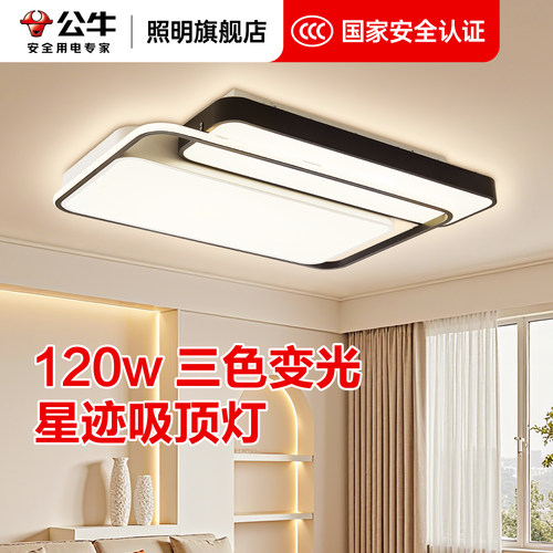 公牛现代简约客厅主灯高端大气