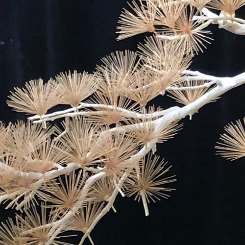 手工拼接枯松仿真松树盆景树枝实木造型树室内外装饰树造景观树