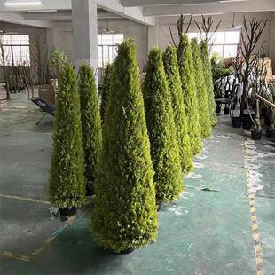 仿真锥形树圣诞树杉树落地盆栽室内盆景室内外新型柱状松树摆件
