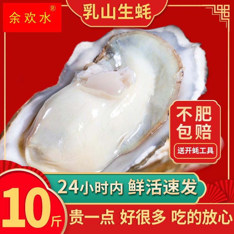 生蚝鲜活新鲜乳山牡蛎带壳海蛎子特大10斤顺丰威海海鲜现捞水产品