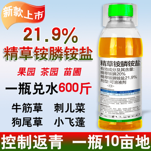 21.9%精草铵膦铵盐果园荒地草铵膦农药牛筋草专用除草烂根剂 正品