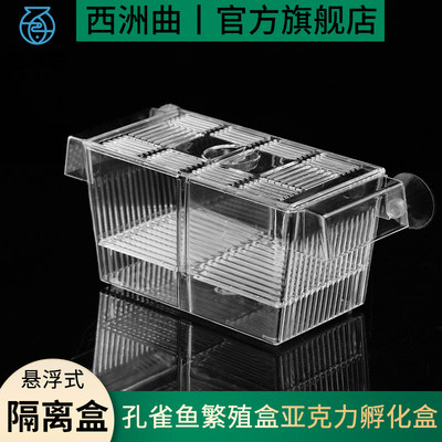 孔雀鱼繁殖盒幼缸隔离斗苗产卵器