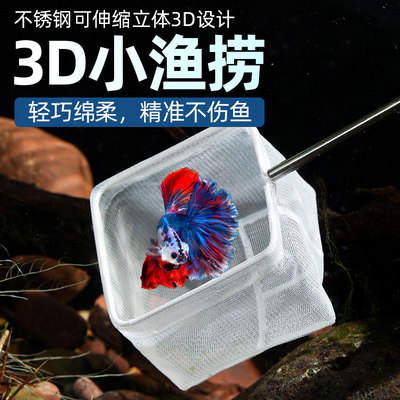 网捞小鱼西洲曲3d手抄