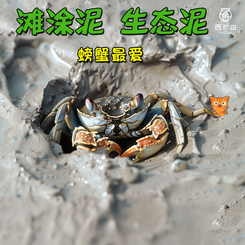鱼缸辣椒蟹生态泥谭氏观赏打洞滩