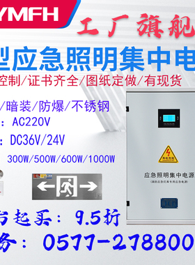 A型应急照明集中电源箱300W600W1000W.EPS应急电源 防爆箱配电柜