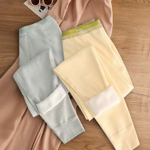 男士秋裤加绒加厚纯棉保暖裤男款秋冬季防寒青年中腰纯色底裤棉裤