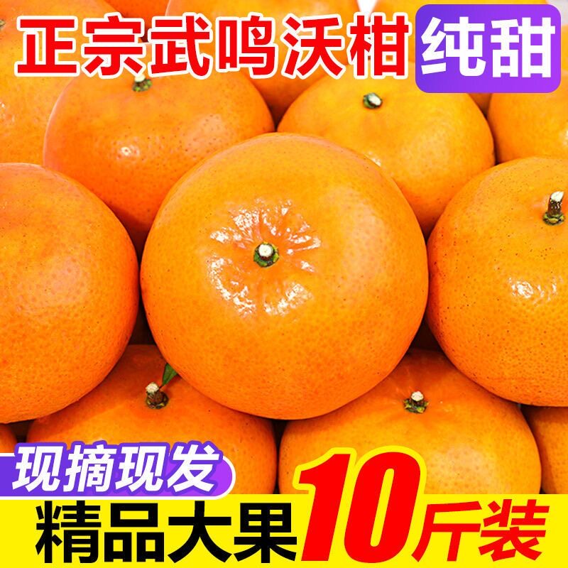 广西武鸣沃柑10斤新鲜水果当季桔子