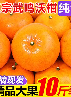 广西武鸣沃柑10斤新鲜水果当季整箱一级沙糖蜜橘砂糖柑橘桔子橘子