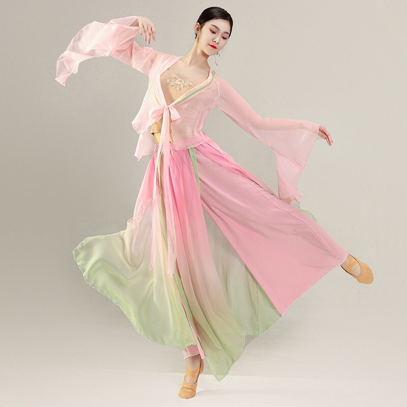 古典舞蹈服女飘逸纱衣中国舞练功服女身韵仙气雪纺上衣古风演出服