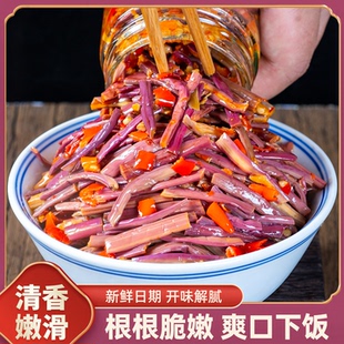 江西特产小炒香辣蕨菜下饭菜即食咸菜凉拌菜湖南辣椒酱拌饭拌面酱