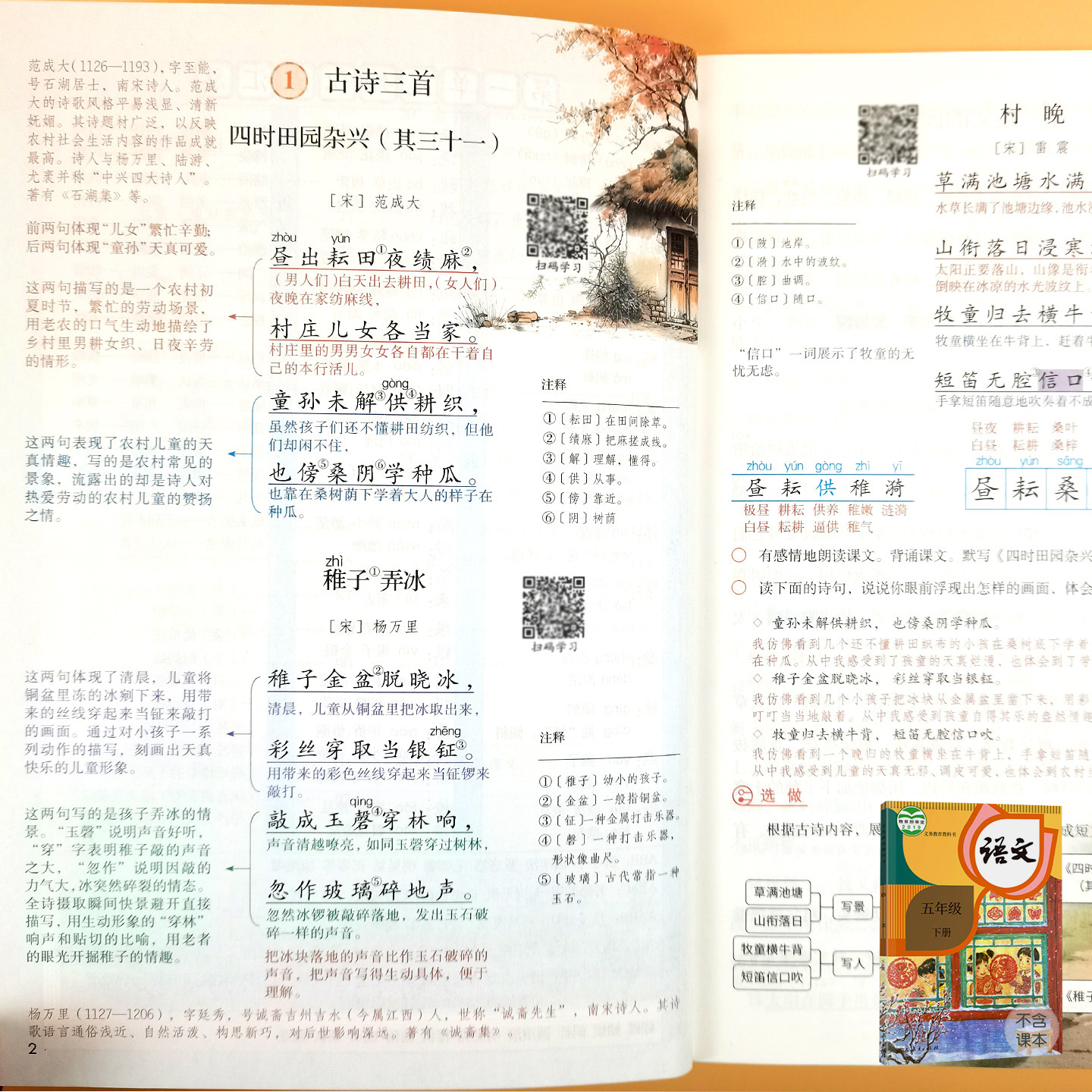 五年级下册语文课堂笔记人教部编版同步小学生5年级下册语文数学英语课本教材苏教北师大译林同步讲解资料书随堂笔记五下课堂笔记