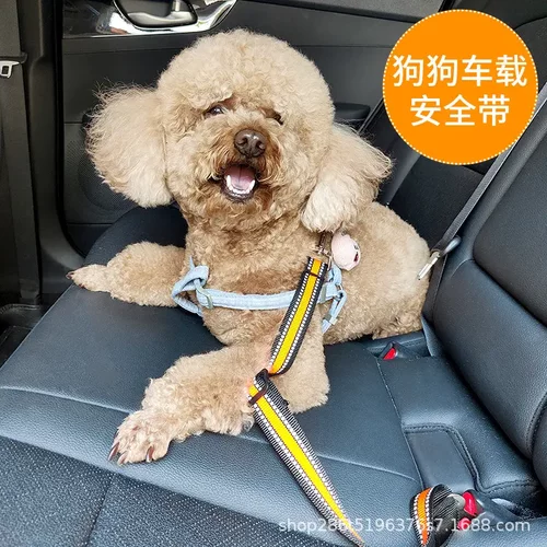 宠物狗狗安全带小中大型犬汽车