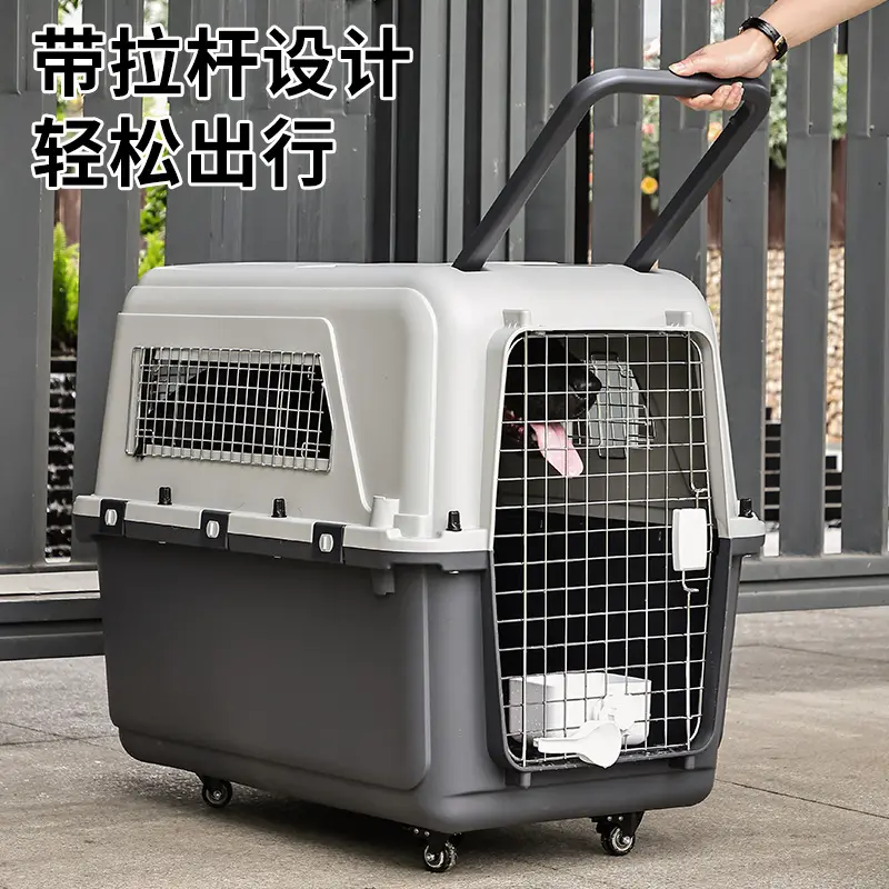 手提宠物箱塑料大中小号宠物外出