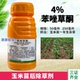 4%苯唑草酮玉米苗后除草剂甜玉米糯玉米杂交玉米通用玉米除草剂
