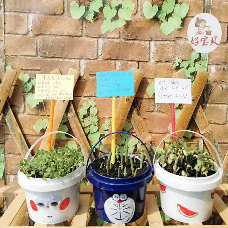 好宝贝特色手工小桶土培蔬菜幼儿园自然角观察日记植物小盆栽套餐