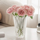花瓶摆件客厅插花玻璃高级感水晶轻奢透明水养玫瑰百合餐桌高端