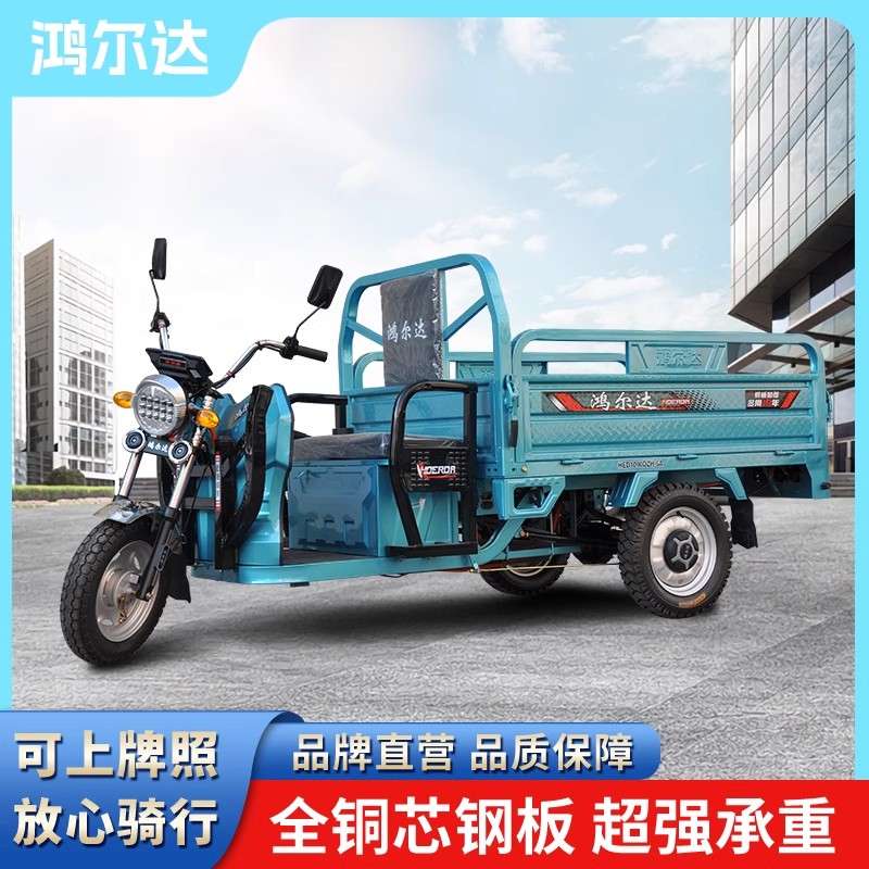 国标电动三轮车农用拉货载重王爬坡家用电瓶车大功率摆摊厂家直销