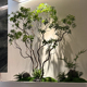 大型彷真绿色植物造景马醉木橱窗装 饰彷生假树商场楼梯下室内景观