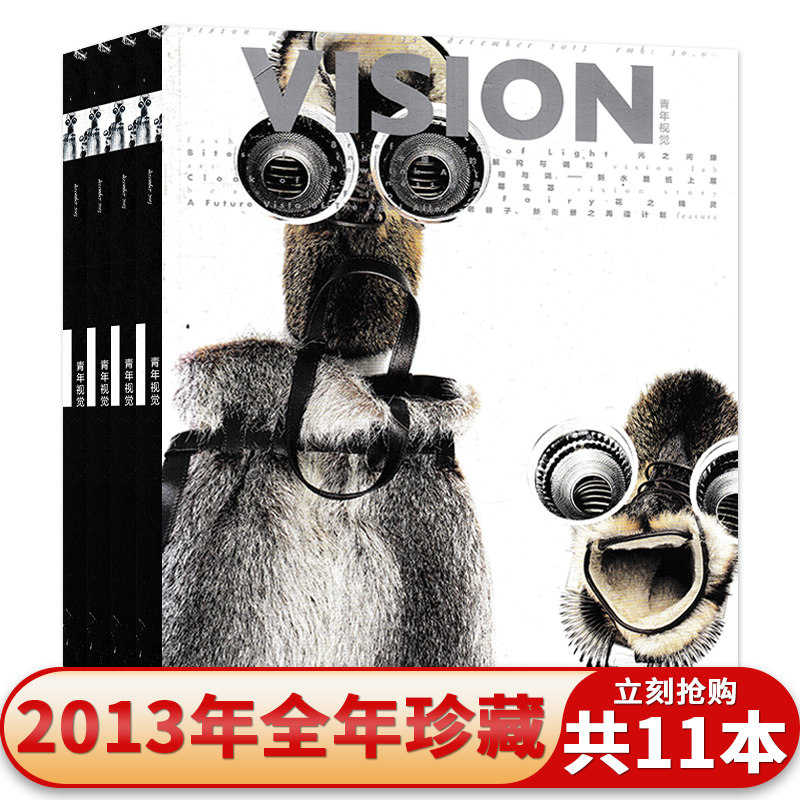 有磨损【共11本】vision青年视觉杂志2013年1-12月组合打包 艺术与设计卷宗生活月刊摄影时装服装人文空间影像期刊杂志