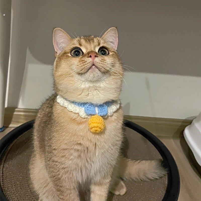 猫咪项圈无声铃铛可调节狗狗小型犬手工针织围脖英短美短宠物脖圈