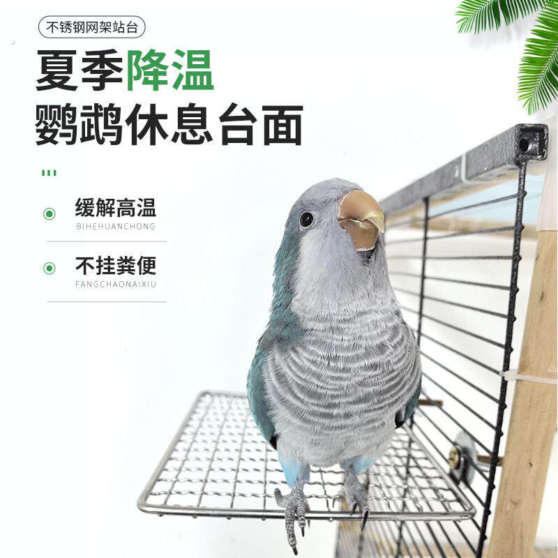 鹦鹉不锈钢休息台跳台不锈钢网架鹦鹉跳台食台蜜袋鼠笼物休息跳板