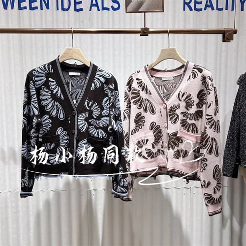 衣播商场女装提花V领针织衫复古软糯宽松显瘦毛衣BDS1UD1081灵花