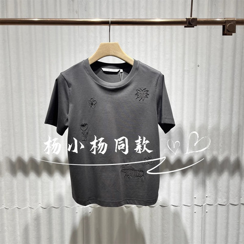 商场同款简约时尚休闲上衣绣花短袖圆领T恤BDS2YD2528眺望远方