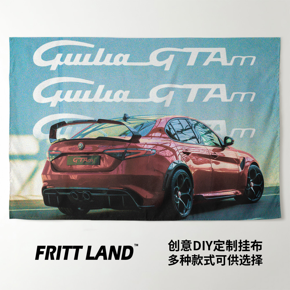 挂布ALFAROMEOGIULIAGTAm