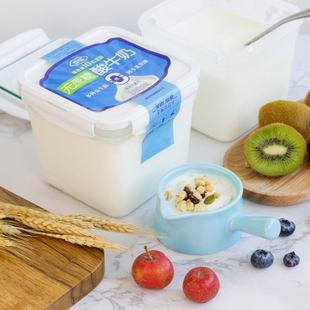 雪宝爆款方盒酸奶大桶装整箱老酸奶2斤牛奶益生菌早餐奶无蔗糖1kg