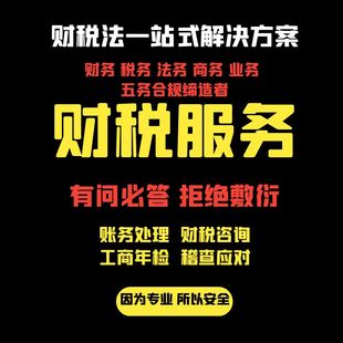 专业财税咨询解决方案账务处理服务稽查应对工商年检
