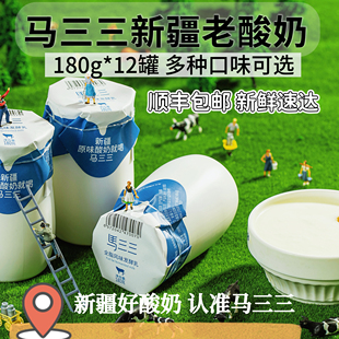 新疆马三三风味老酸奶原味零蔗糖低温生牛乳发酵营养早餐酸奶