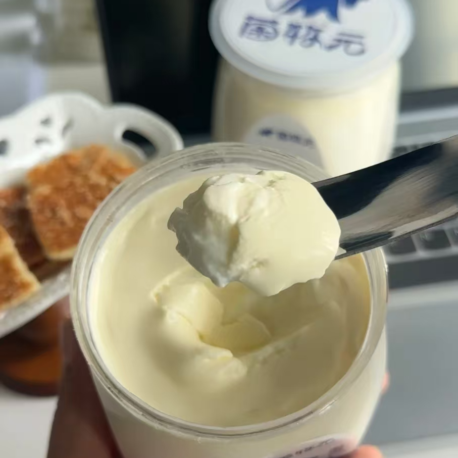 菌牧元新疆手工老酸奶伊犁奶皮子酸奶发酵乳XHS同款网红奶制品,咖啡/麦片/冲饮,低温酸奶,淘宝优惠券,粉丝福利购,淘宝优惠卷