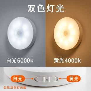 PIR Motion Sensor LED Night Light USB Rechargeable Lamp