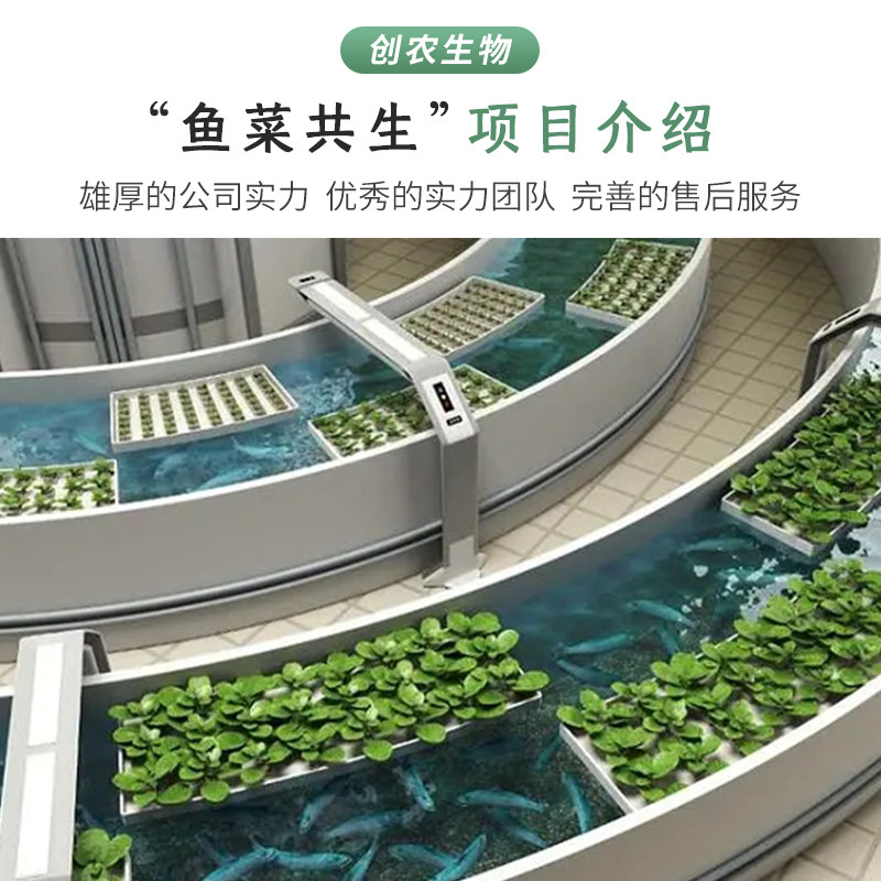鱼菜共生无土栽培蔬菜森式