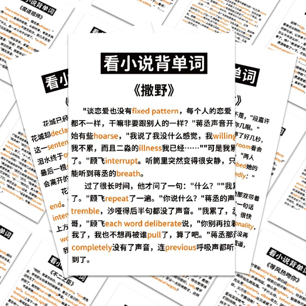 60张看小说记忆英语背单词贴纸