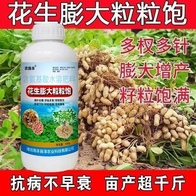 花生膨大粒粒饱正品花生专用膨大剂增高产增收花生粒粒饱快速大果