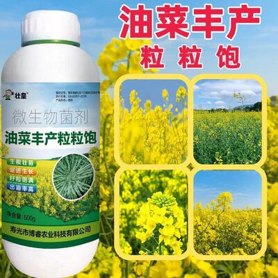 油菜丰产粒粒饱提高出油率促花授粉抗倒伏籽粒饱满油菜专用农资