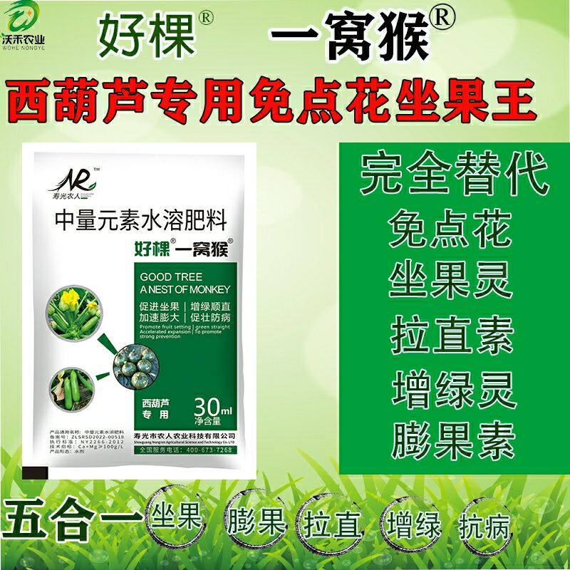 西葫芦免点授粉 增绿顺直 膨瓜增产 植株抗病 农人好棵一窝猴图片