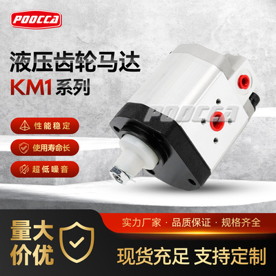 德国KRACHT克拉克输送泵KM114F30AK0B4NL336齿轮KP1油泵跨境专供