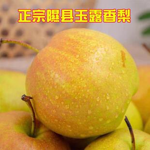 【宠粉专属】正宗山西隰县小西天玉露香梨梨子新鲜水果无渣当季梨