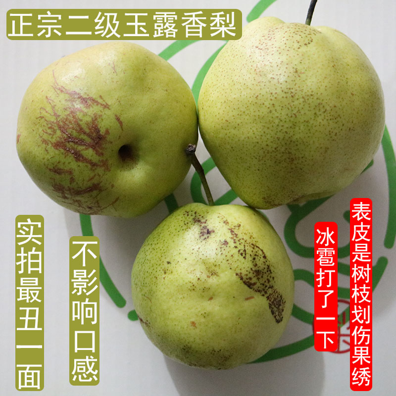 山西玉露香梨二级雨露梨子瑕疵冰雹新鲜水果特大果脆甜多汁5/9斤