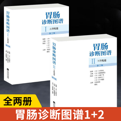 【全2册】胃肠诊断图谱上消化道+下消化道 胃镜**声内镜肠镜医学专业书籍实用内科学消化内科疾病鉴别诊断学