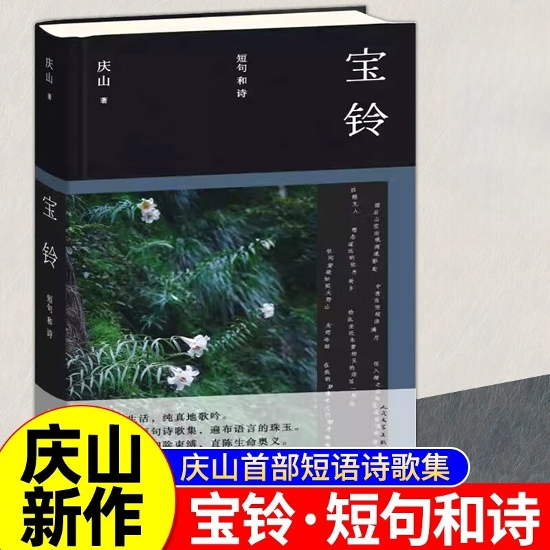 宝铃 庆山安妮宝贝2025全新作品短句诗歌集 七月与安生、告别薇安、八月未央、蔷薇岛屿、素年锦时、眠空的作者作品集
