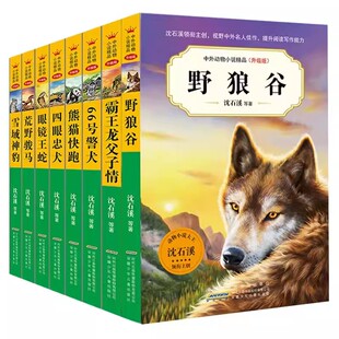 中外动物小说精品升级版第五辑全套8册熊猫快跑眼镜王蛇四眼忠犬野狼谷66号警犬霸王龙父子情荒野骏马雪域神豹 沈石溪动物小说正版